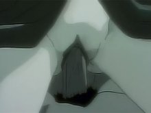 La marié est initiée au sexe par la bête 4